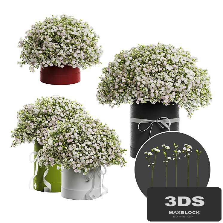 Gypsophila bouquet in a hat box