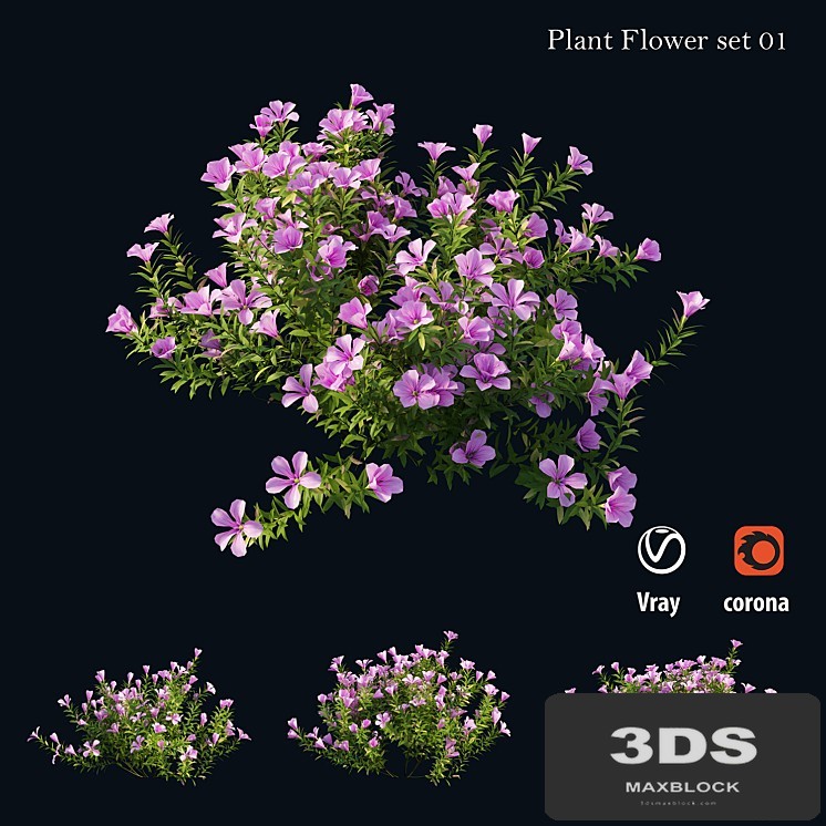 Plant Flower set 01