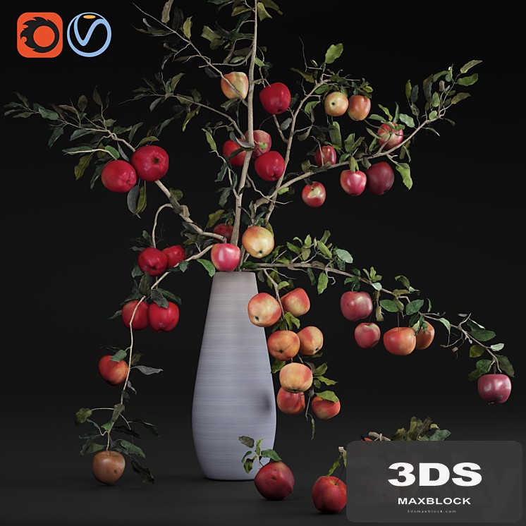 Red Cherry tomato apple branches Dry leaves Vase
