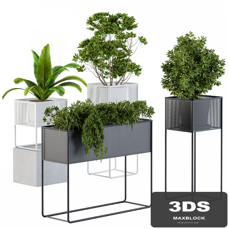 Home Set Plants Metal Box