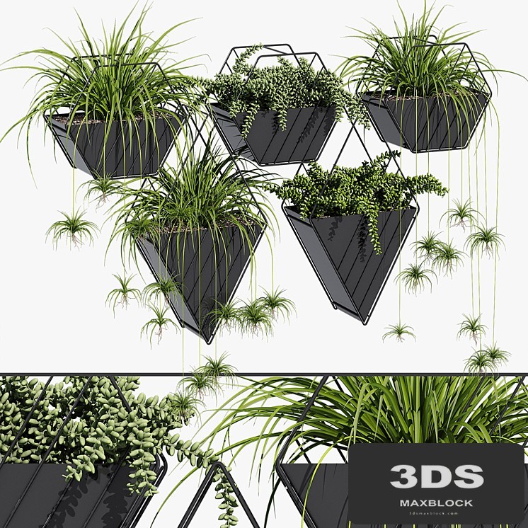 Tulan hanging planter