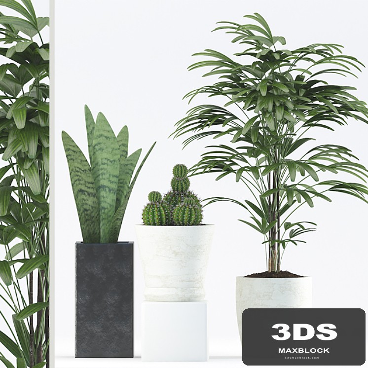 Plants 188