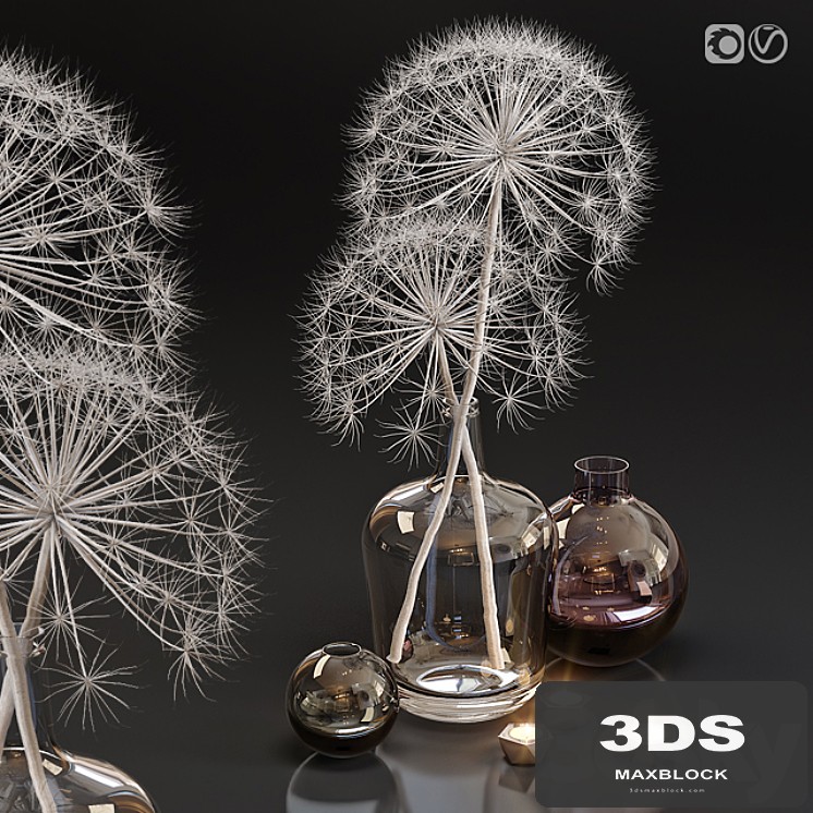 Decor set 13 Heracleum plant white