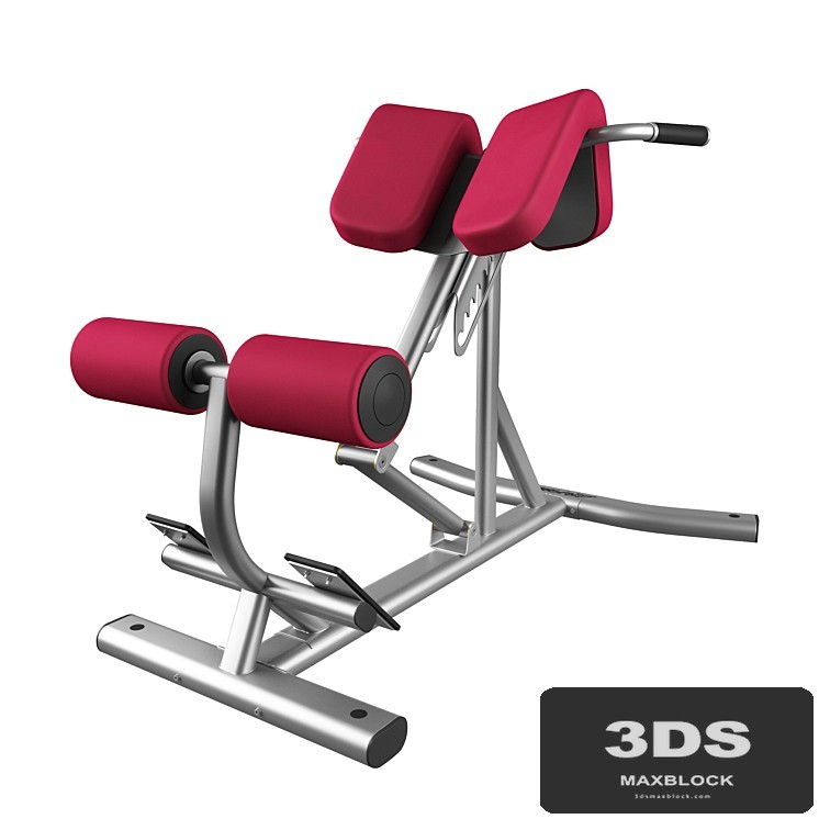 Lifefitness Signature Series Back Extension