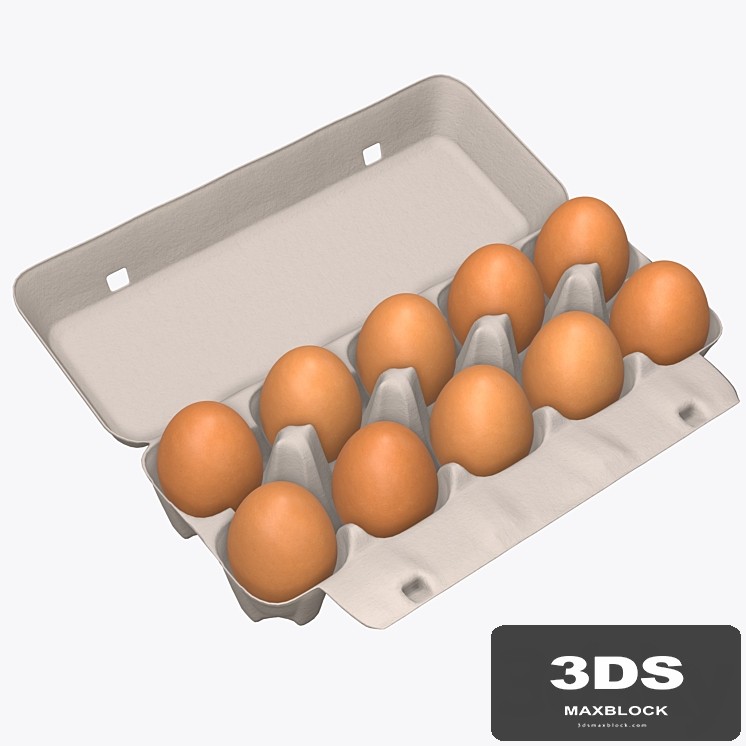 Egg cardboard package for 10 eggs opened