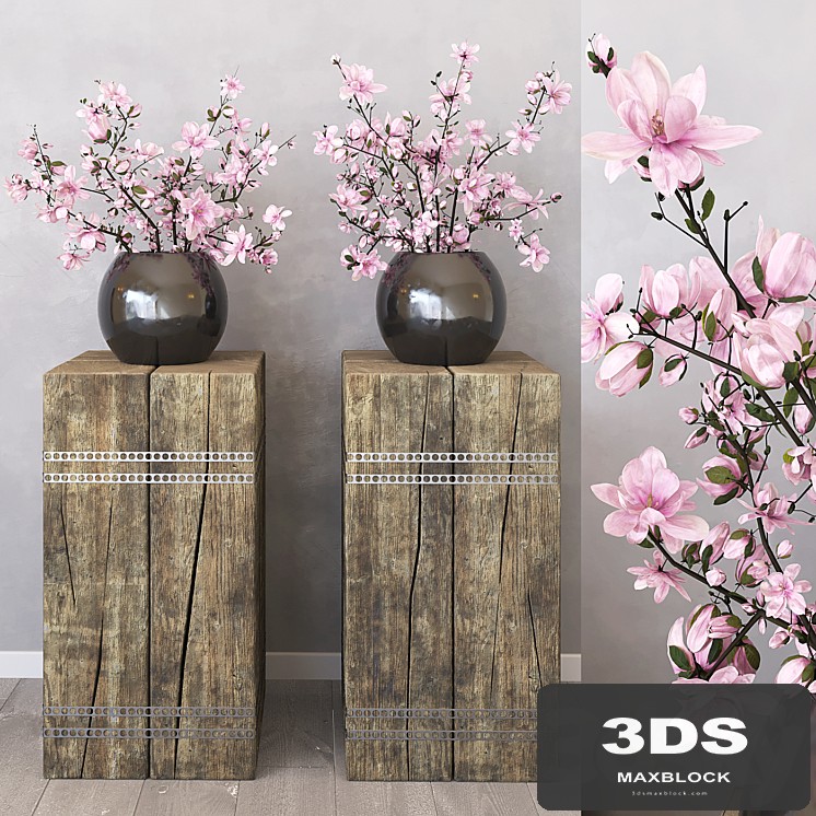 Magnolia