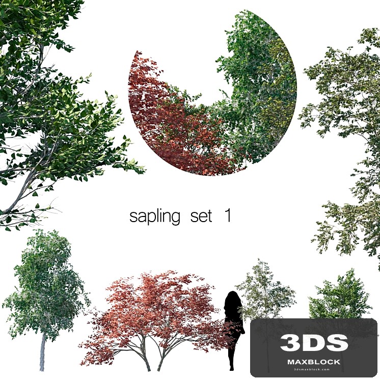 sapling set 1