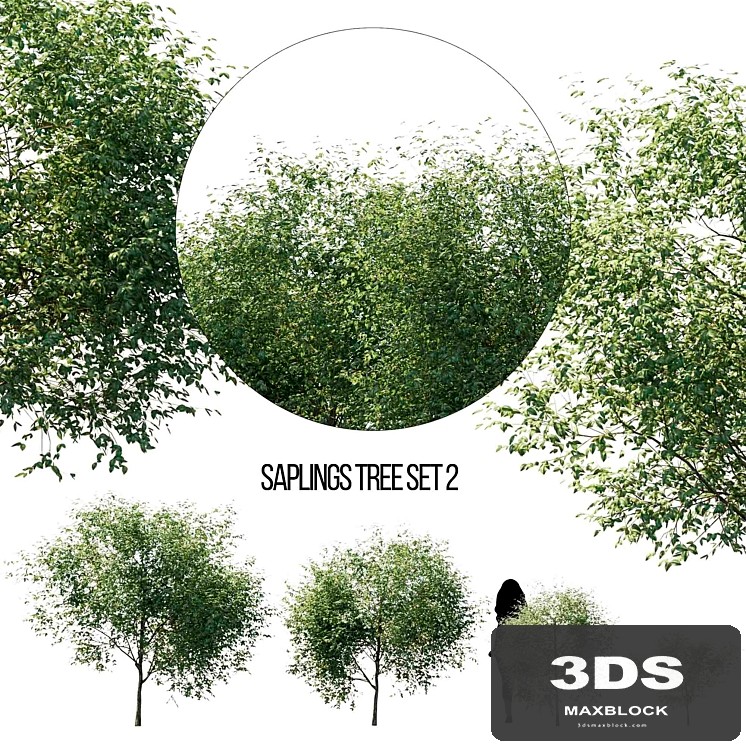 saplings tree set 2