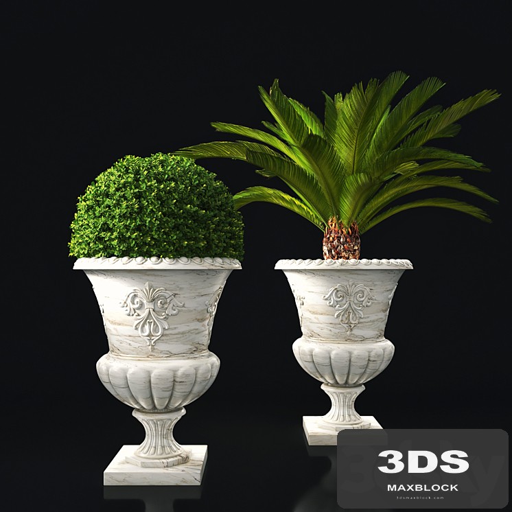 plant collection 05