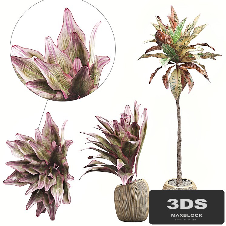 INTERIOR FLOWER PACK 34