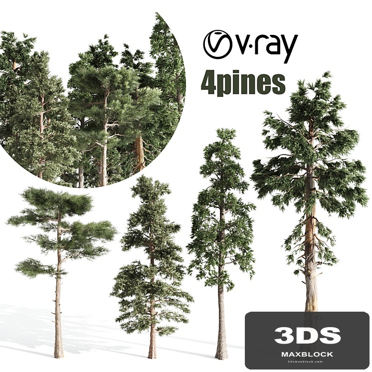 4 pines tree