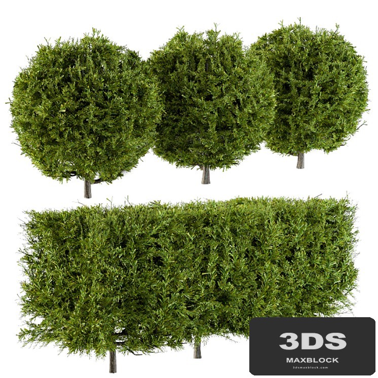Needle Bush Shape (Cube and Globe)