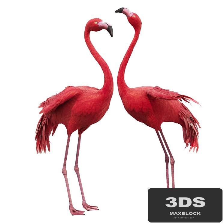 Flamingo-model
