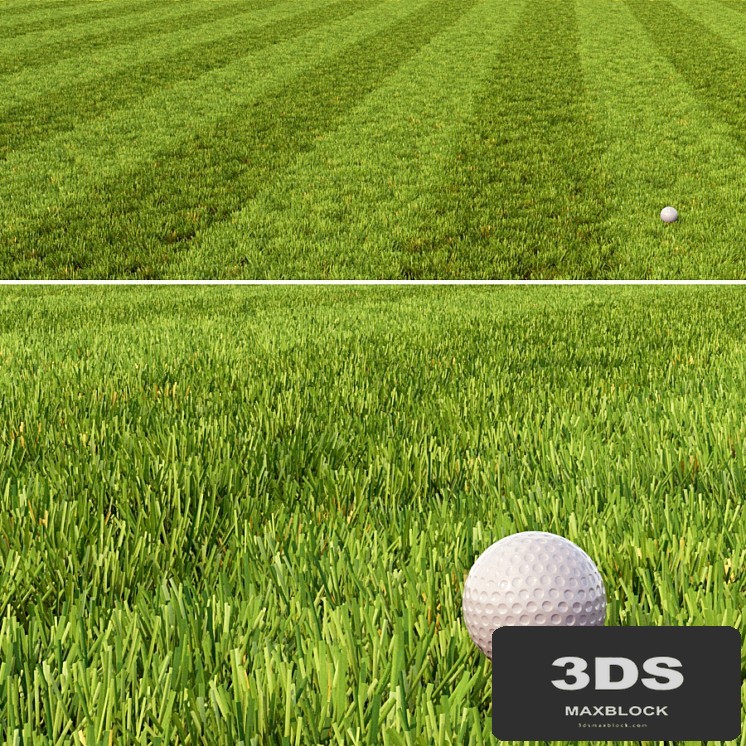 Mowed Lawn
