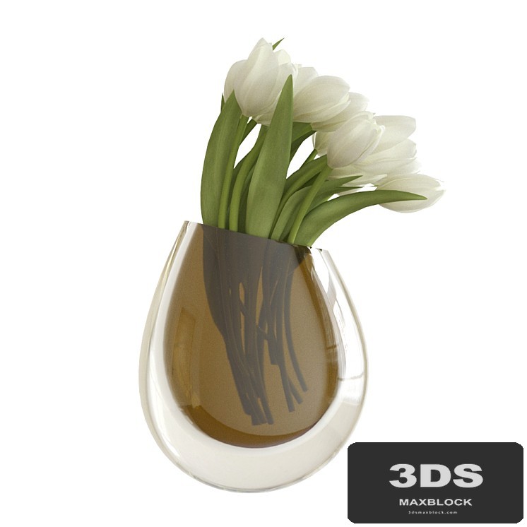 White tulips in a vase