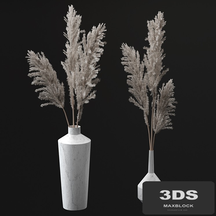 Pampas bouquets