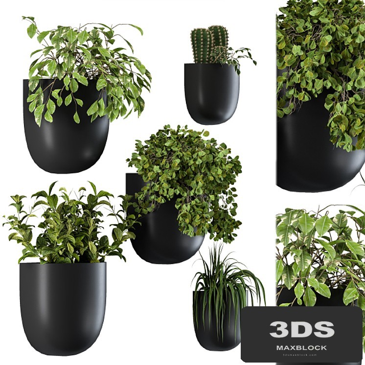 Plant Box on Wall 01