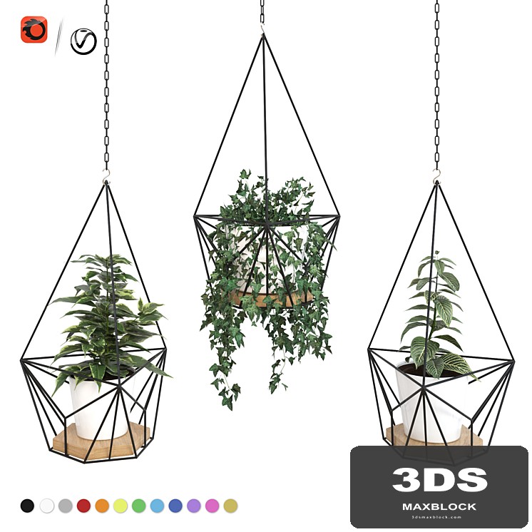 Plants in hanging planters ARCHPOLE Shuttle2 - View 1