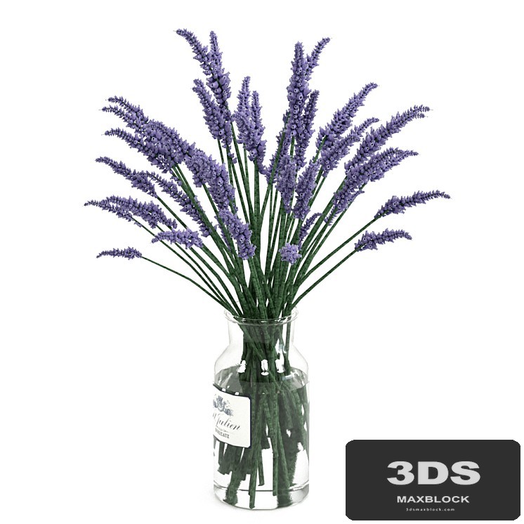 Lavender bouquet