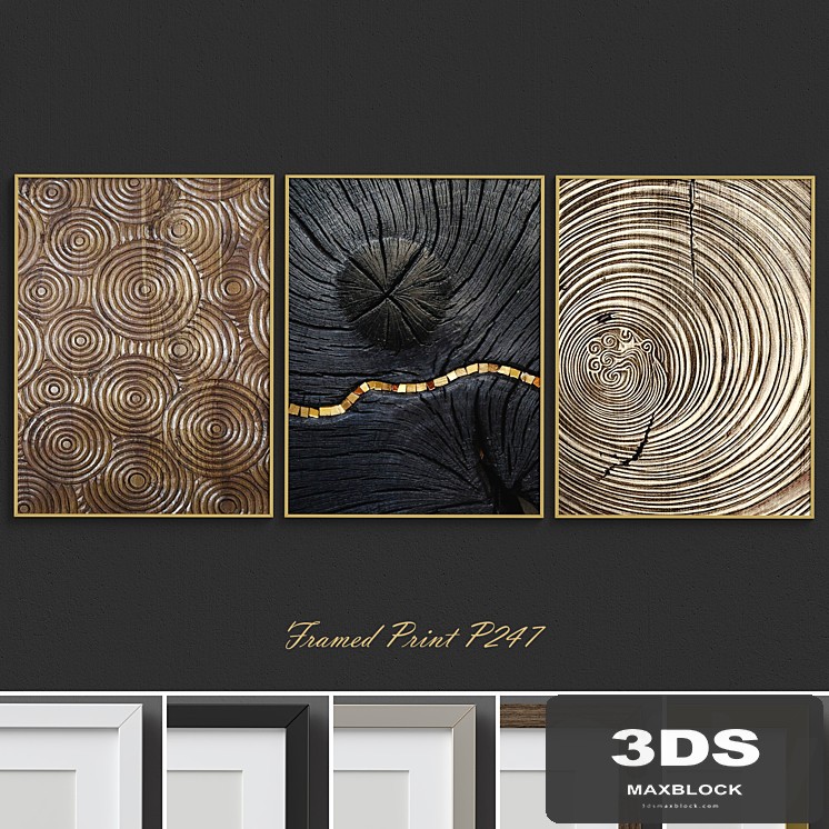Framed Print P-247