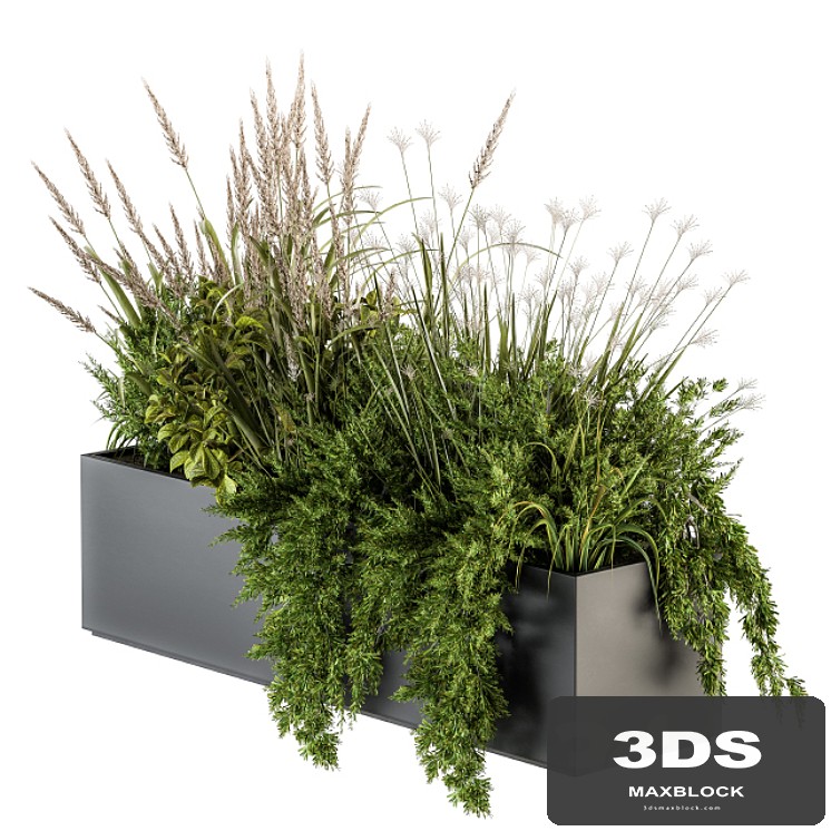 Indoor Plants Box - Set 152