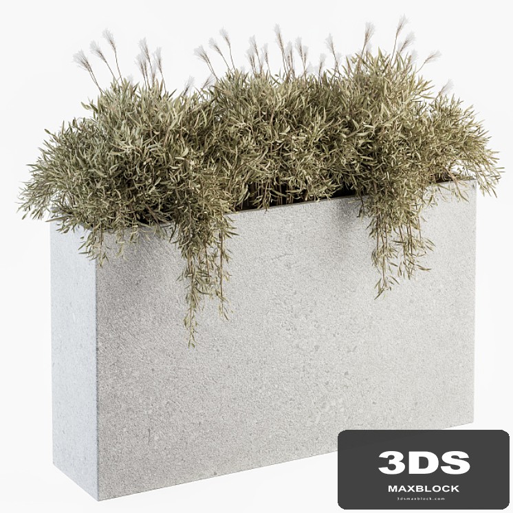Outdoor Plants in Concrete Plant Box - Set 165