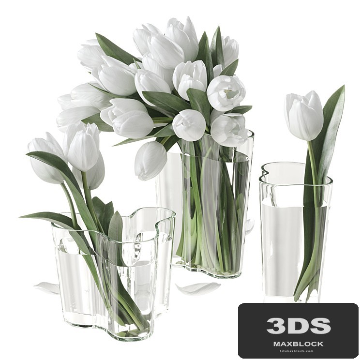 Bouquet of tulips