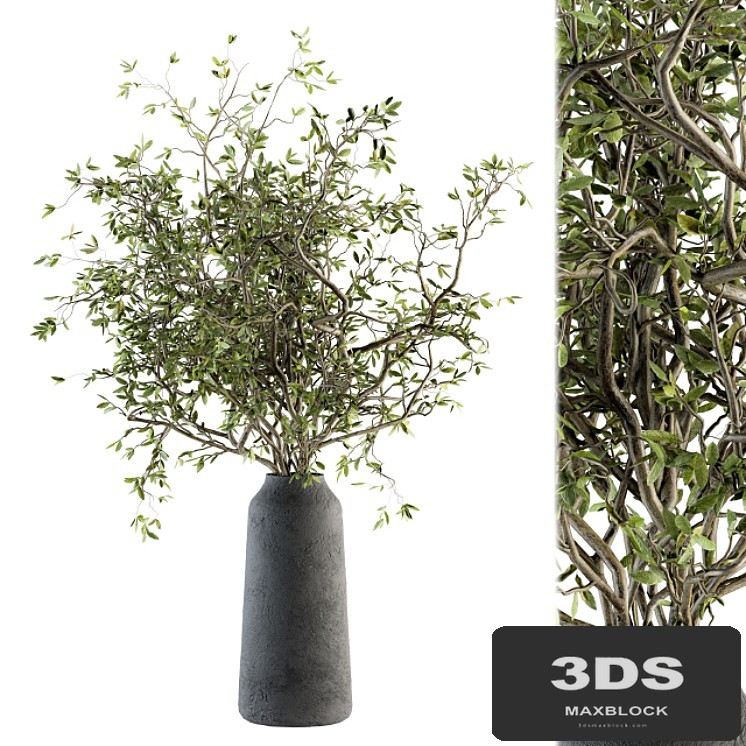 Bouquet - Green Branch in vase 40