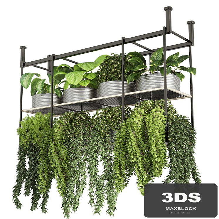 collection Indoor plants hanging pot-metal bax vase 04