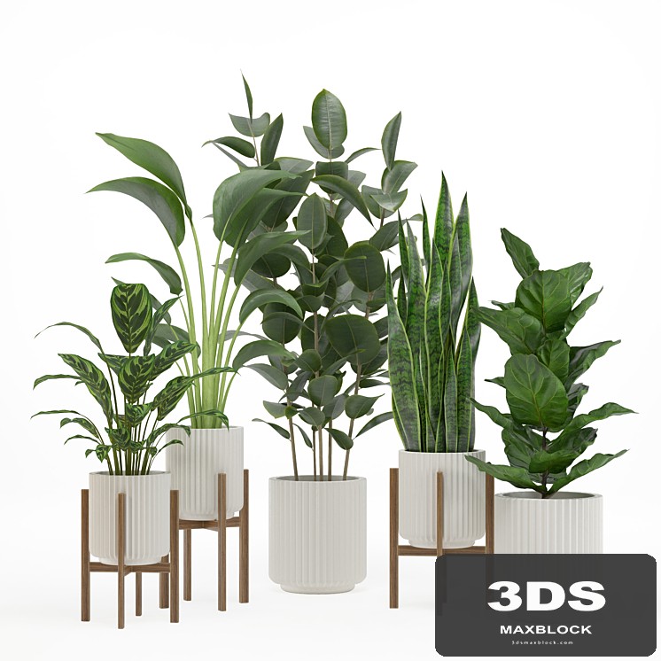 indoor plant set 003