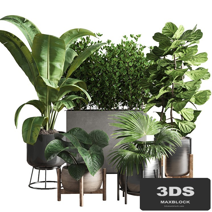 collection Indoor plant 43 vase