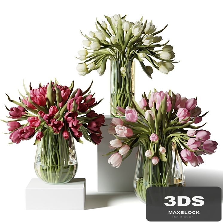 Red, pink and white tulips in glass vases