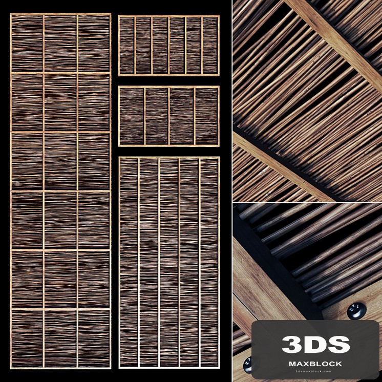Ceiling thin branch crooked n1