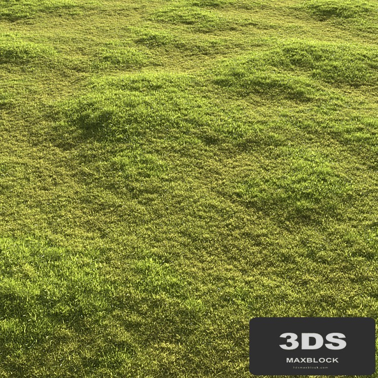 Garden grass