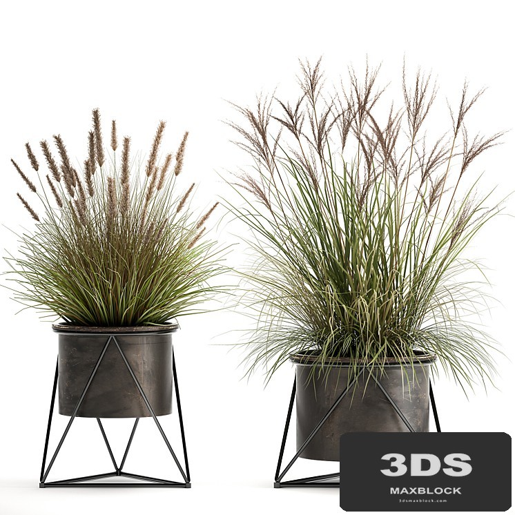 Collection of outdoor metal potted plants with Reeds, grass, bushes, weinik. Set 980.