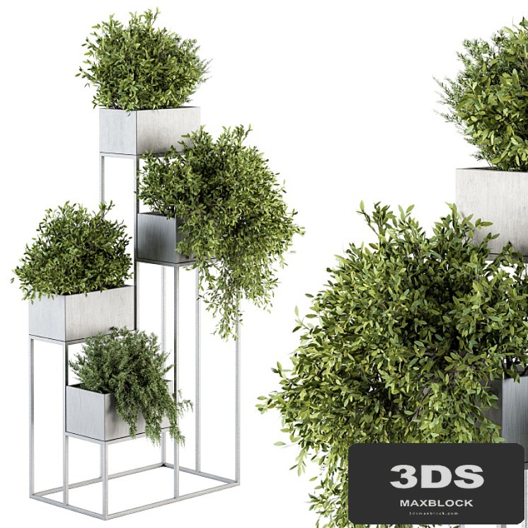 indoor Plant Set 213 - Silver Plant Stand