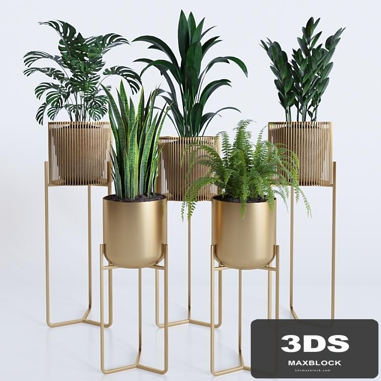 plant collection rpm 01
