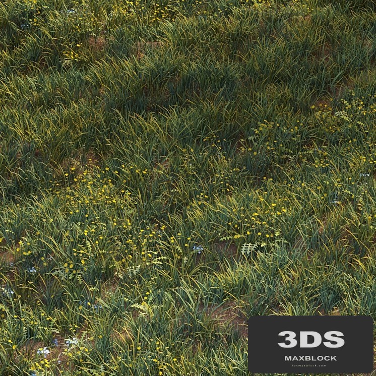 June grass