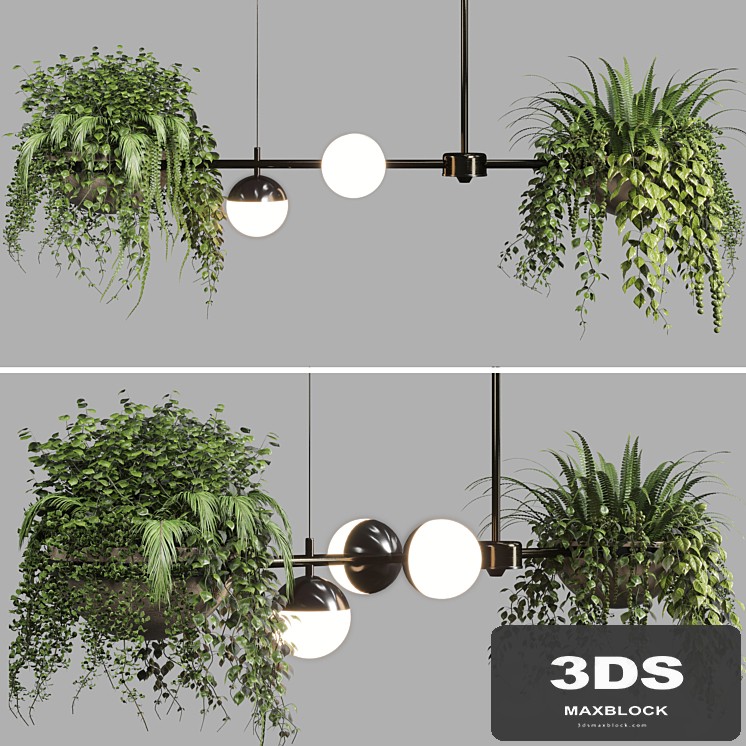 pendant light Indoor & outdoor plants hanging pot