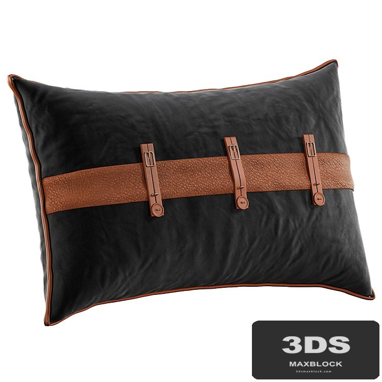 Decorative Pillow # 26