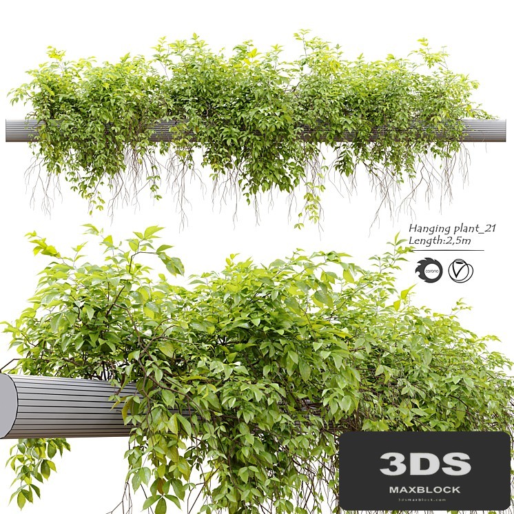 Hanging Plant 21