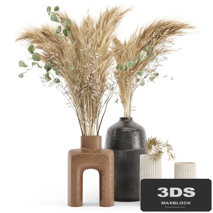Dry plants 19 - Dried Plantset Pampas with Concrete vase