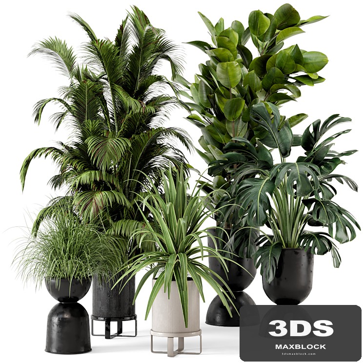 Indoor Plants in Ferm Living Bau Pot Large - Set 220