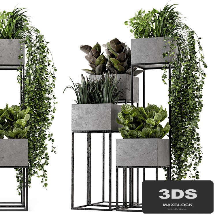 Indoor Plants in rusty Concrete Pot on Metal Shelf - Set 221
