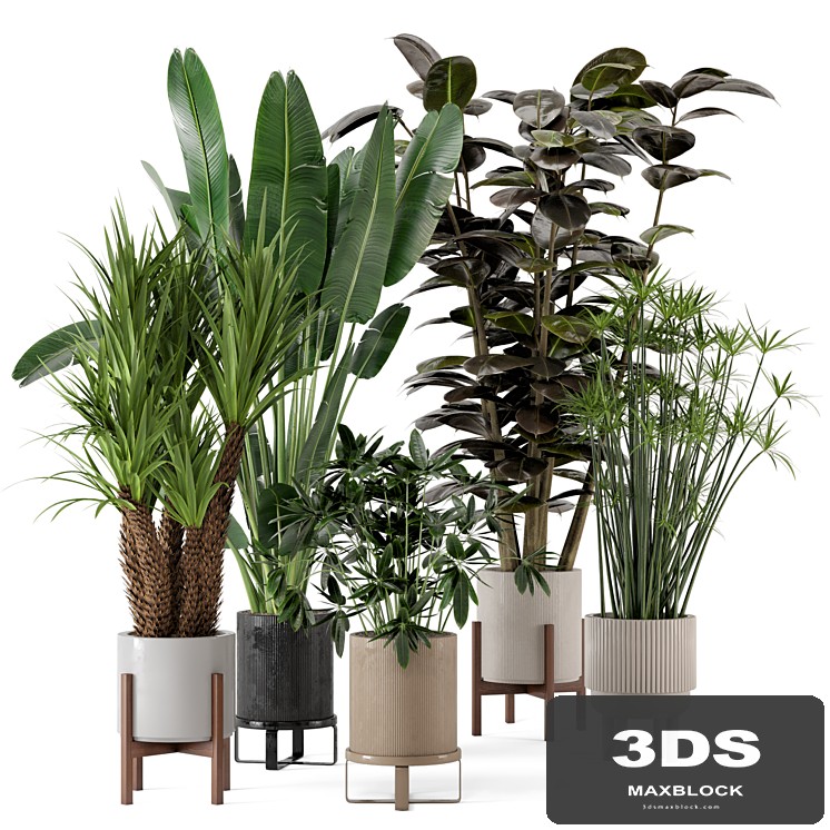 Indoor Plants in Ferm Living Bau Pot Large - Set 235