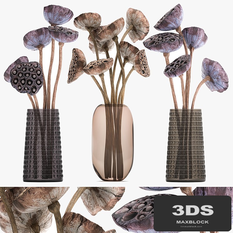 A set of bouquets of dried flowers in glass vases, dry Lotus branches, natural decor. 152.