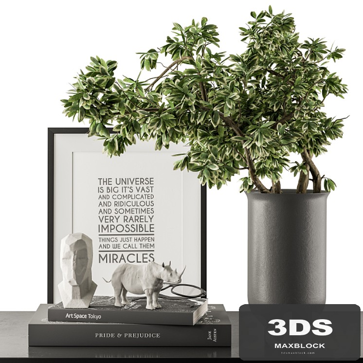Black and Green Decorative Set with Plants - Set 77