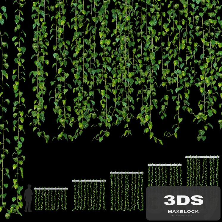 Hanging plant