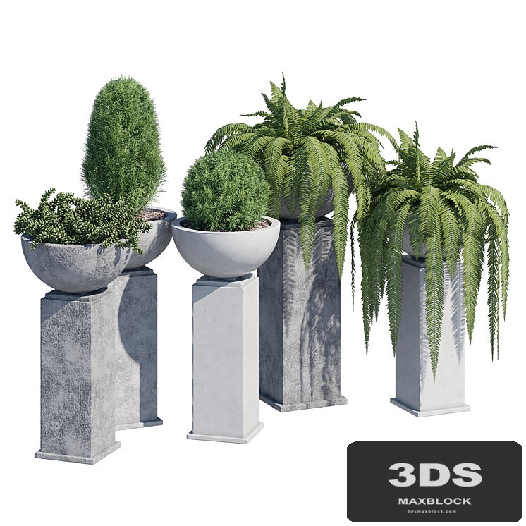 Modern planter