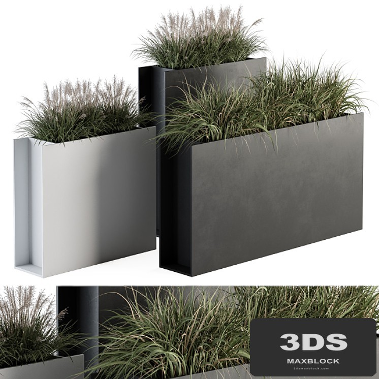 Outdoor Plant Set 288 - Grass in Plant Box
